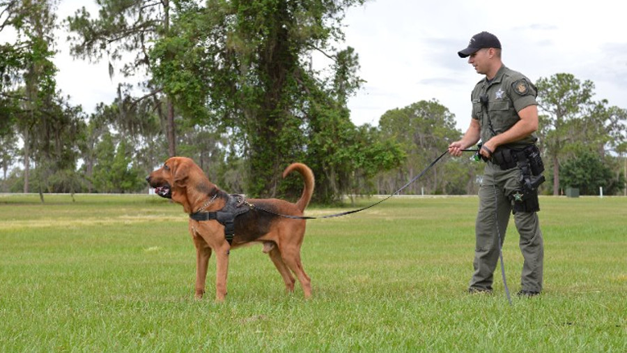 K-9 Billy and his handler, Deputy Dusty McGee.