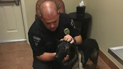 K-9 Pako was treated and released by the Grady Veterinary Hospital after he was shot in the shoulder by a suspect early Friday morning. K-9 Pako was treated and released by the Grady Veterinary Hospital after he was shot in the shoulder by a suspect early Friday morning.