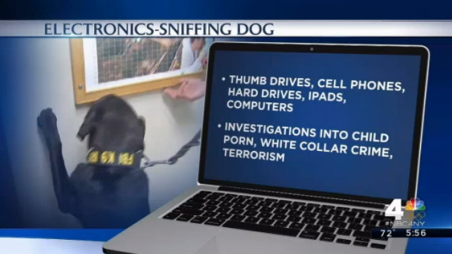 FBI's Newest K-9 Sniffs Out Digital Evidence | Officer