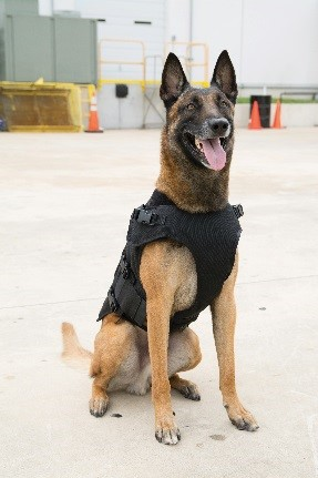 Bark 9 578d1cc23b5dd