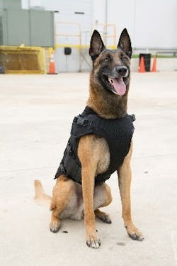 Bark 9 578d1cc23b5dd Bark 9 578d1cc23b5dd