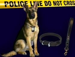 German Shepherd 08r Tcozktd7y Cuf German Shepherd 08r Tcozktd7y Cuf