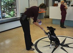 0422 Brlo Gia6 57ae1d23ec4bd 0422 Brlo Gia6 57ae1d23ec4bd