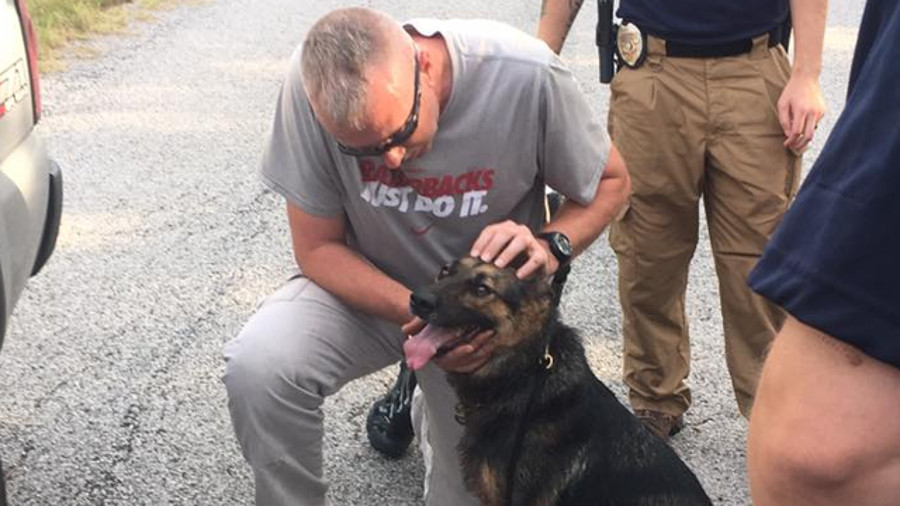 Greenwood Police K-9 Kina, went missing Wednesday after being wounded during a shootout that left a deputy dead and a police chief wounded, was found alive Friday morning.