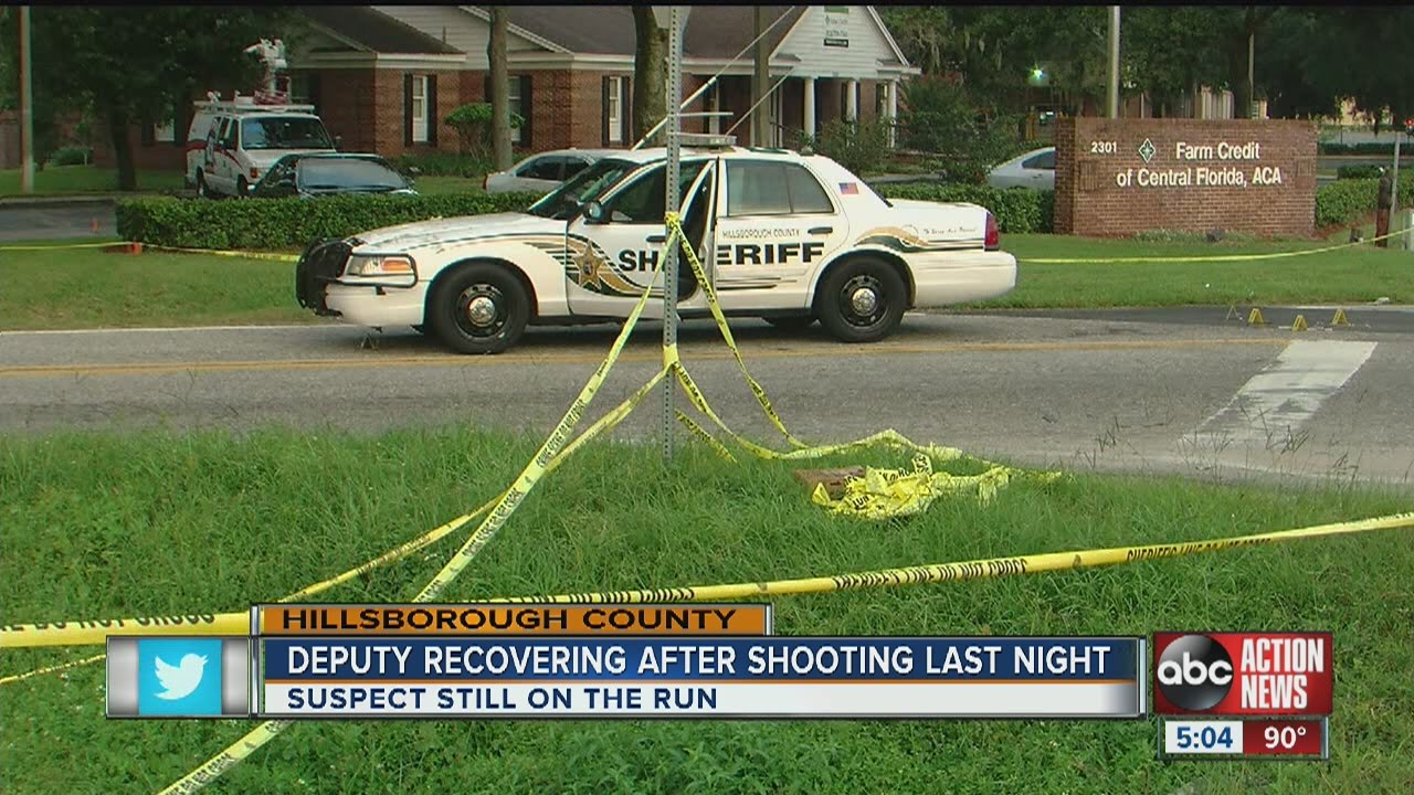 Florida Sheriff's Deputy Struck During Traffic Stop | Officer