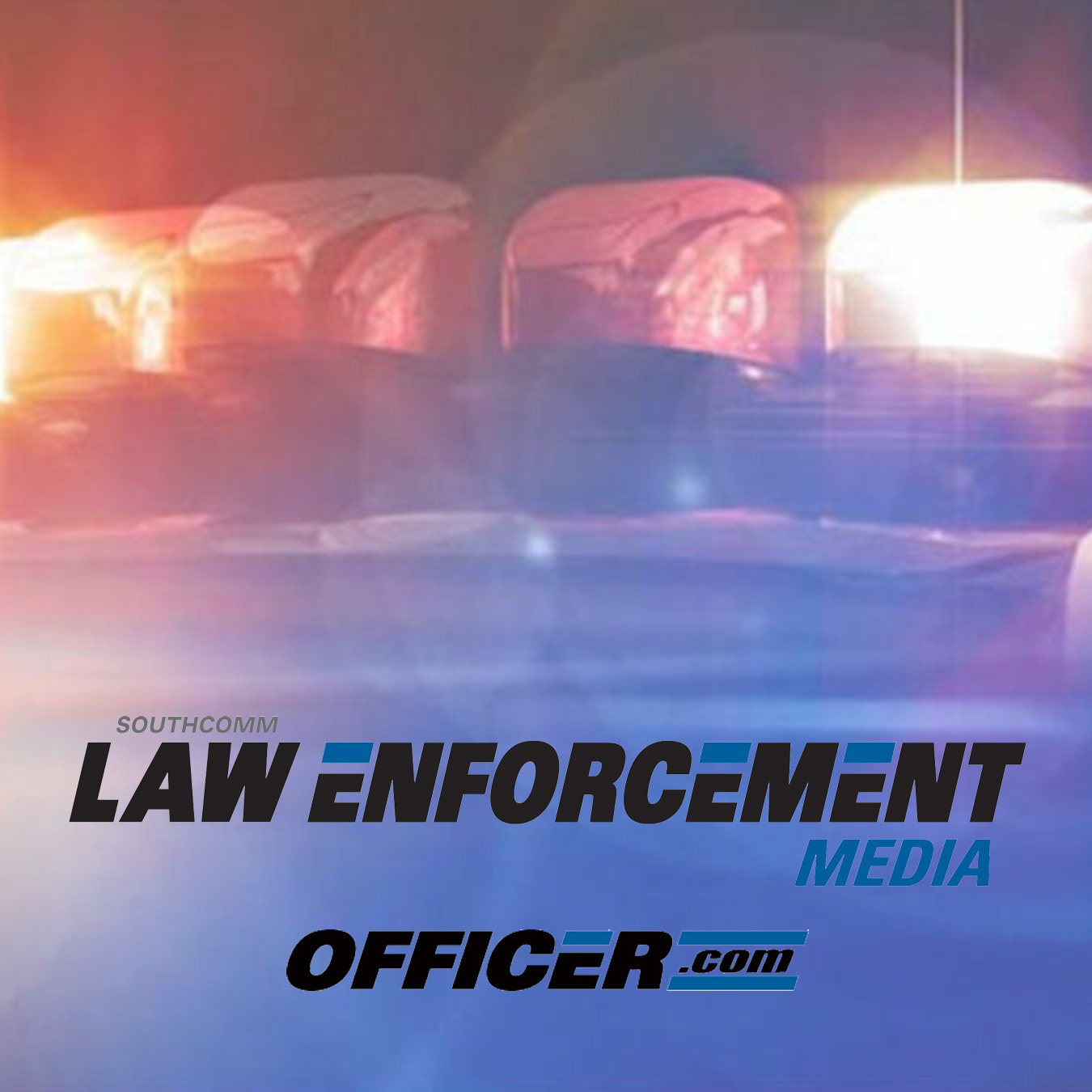 Report Image Option 1 5824a29856ab5