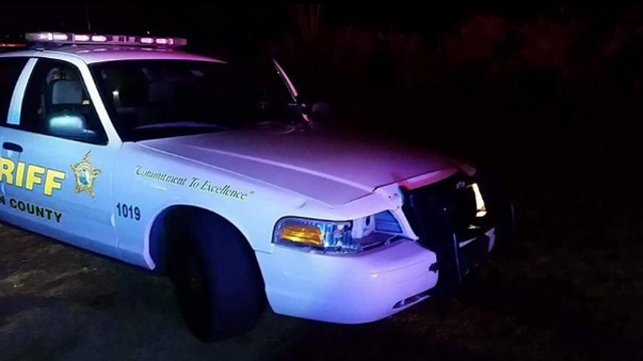 A Walton County Sheriff's Office deputy was injured early Friday morning when a large buck ran out in front of her car near the intersection of U.S. Highway 98 and West Hewitt Road.
