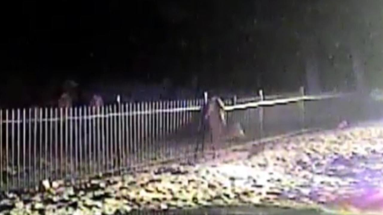 Police Rescue Deer After Its Hind Legs Get Stuck In Fence | Officer
