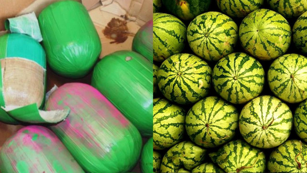 Border Control Sieze 3,000 Pounds of Pot Disguised As Watermelons