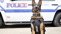 K-9 Kim