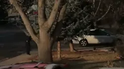 A video recorded by a resident shows a confrontation in which police officers in Fort Collins shot a man armed with a replica gun.