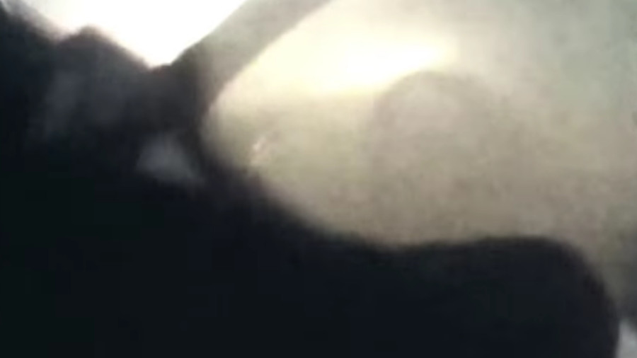 Norton Police Officers Scott Seabolt and Brody Fratantonio arrived on the scene find 60-year-old Lowell Sears unconscious inside the fully engulfed vehicle.