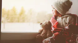 bear 58b97c3e6ed50