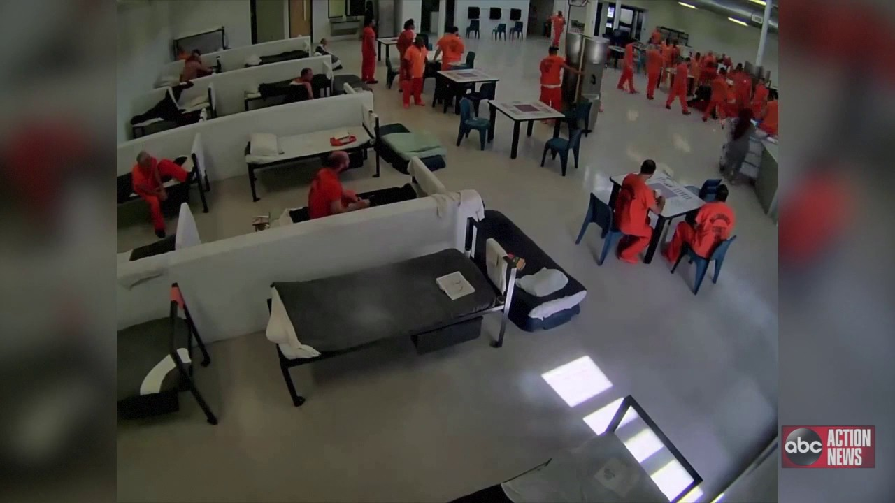 Hillsborough County inmate attacks a detention deputy and attempts to strangle him