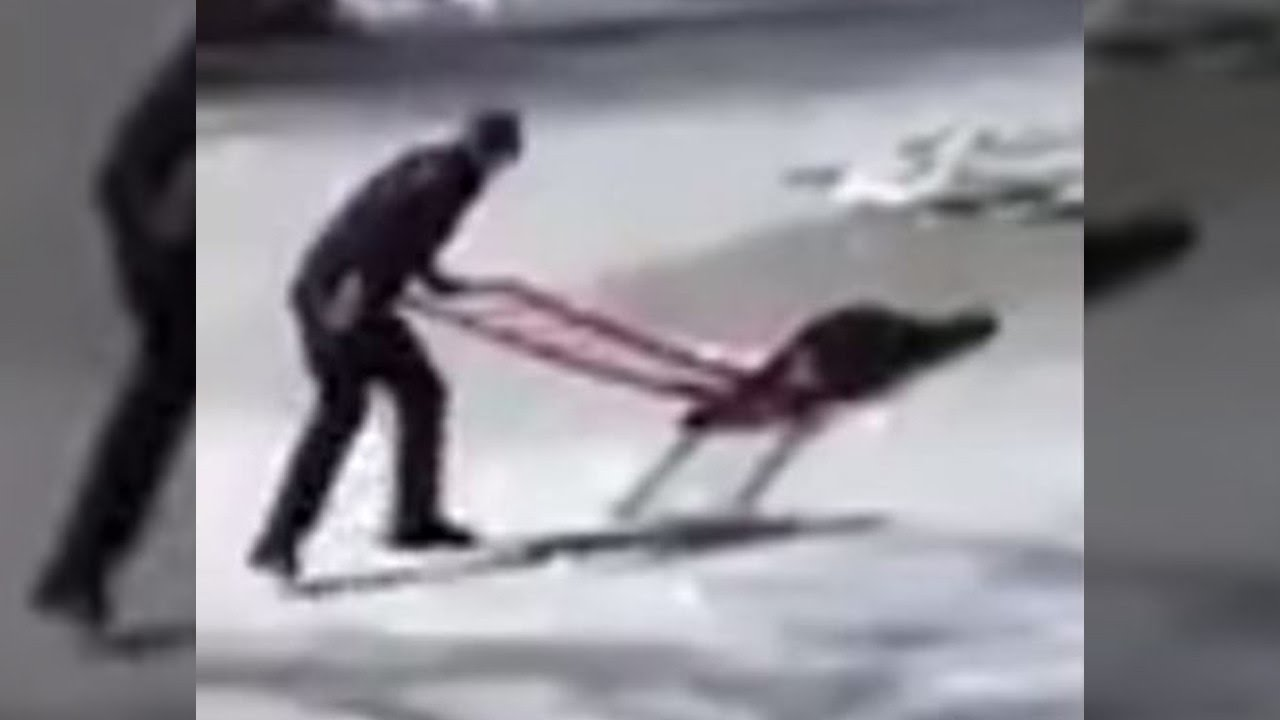 Officer Braves Thin Ice to Save 16-Year-Old Boy Stranded In Frigid Pond