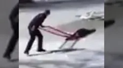 Officer Braves Thin Ice to Save 16-Year-Old Boy Stranded In Frigid Pond
