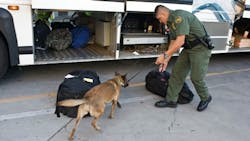 Petpace 58dd52d02271b Petpace 58dd52d02271b