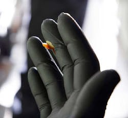 1623 Black Fire Production Sheet 58eb9954c5f06 1623 Black Fire Production Sheet 58eb9954c5f06