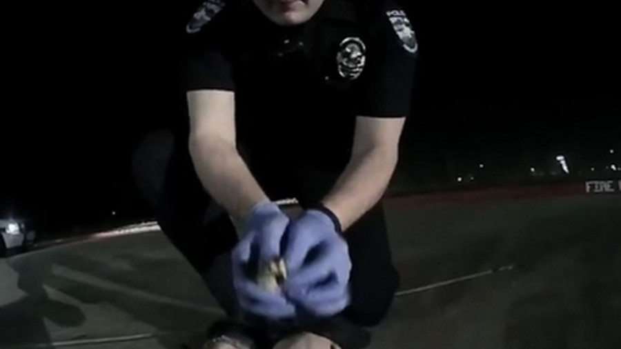 Video Shows Officers Rescue Ducklings From Storm Drain | Officer