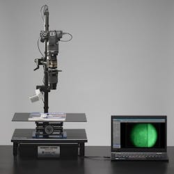 Krimesite Capture 01 1 3dxd41 Ldk2y Cuf Krimesite Capture 01 1 3dxd41 Ldk2y Cuf