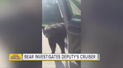 Florida Sheriff's Deputy Encounters Bear While On Duty
