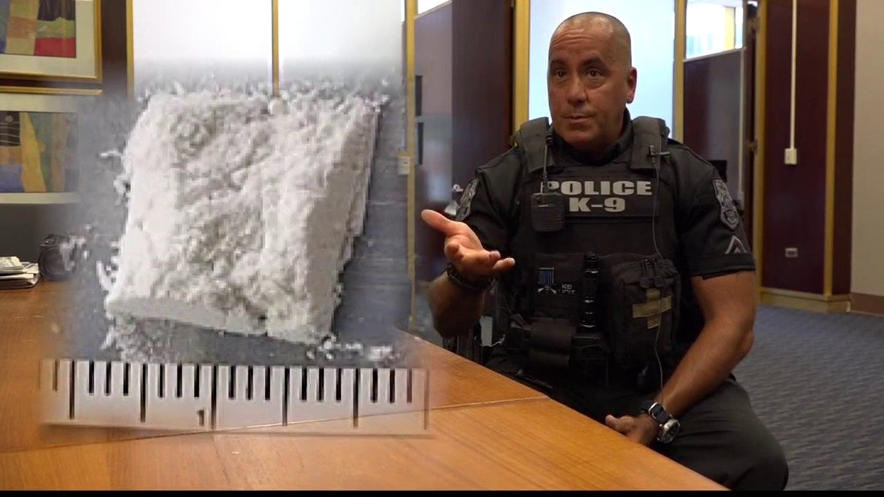 Protecting Police K-9s From Deadly Drug