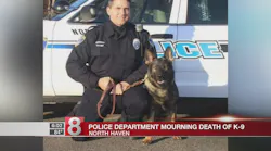 Connecticut Police Department Mourns Loss of K-9
