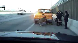 A recently released dashboard camera video shows a Nevada Highway Patrol trooper help rescue a dog running loose on the highway.