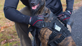 K9 Harness Guardian Angel Personal Safety Device From Guardian Angel Llc Officer