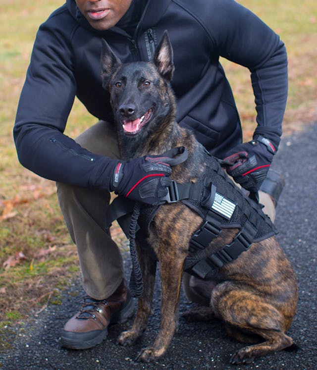 Breathable Dog Canine Harness The Noxx K 9 Harness Officer