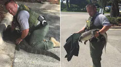 Deputy Catches Four-Foot Alligator With His Bare Hands