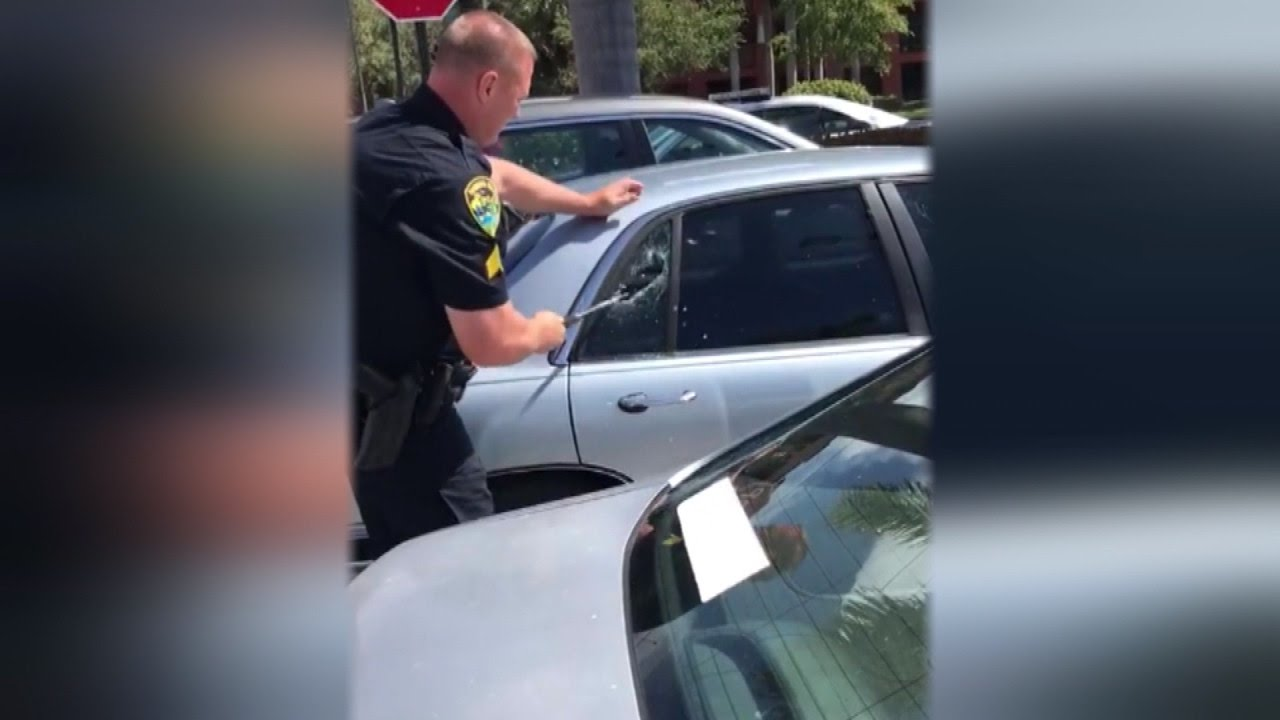 Watch Police Break Window to Save Dog Locked in Hot Car | Officer