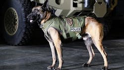 K-9 Dingo K-9 Dingo