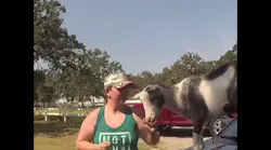 Oklahoma Police Body-Cam Captures Sassy Goat