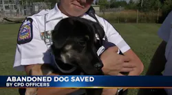 Dogsaved