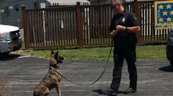 Lebanon Police K-9 Nico was struck and killed by a vehicle after the dog escaped its outdoor kennel Saturday night.
