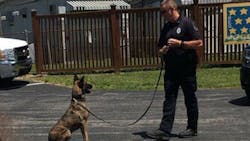 Lebanon Police K-9 Nico was struck and killed by a vehicle after the dog escaped its outdoor kennel Saturday night. Lebanon Police K-9 Nico was struck and killed by a vehicle after the dog escaped its outdoor kennel Saturday night.