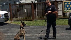 Lebanon Police K-9 Nico was struck and killed by a vehicle after the dog escaped its outdoor kennel Saturday night.