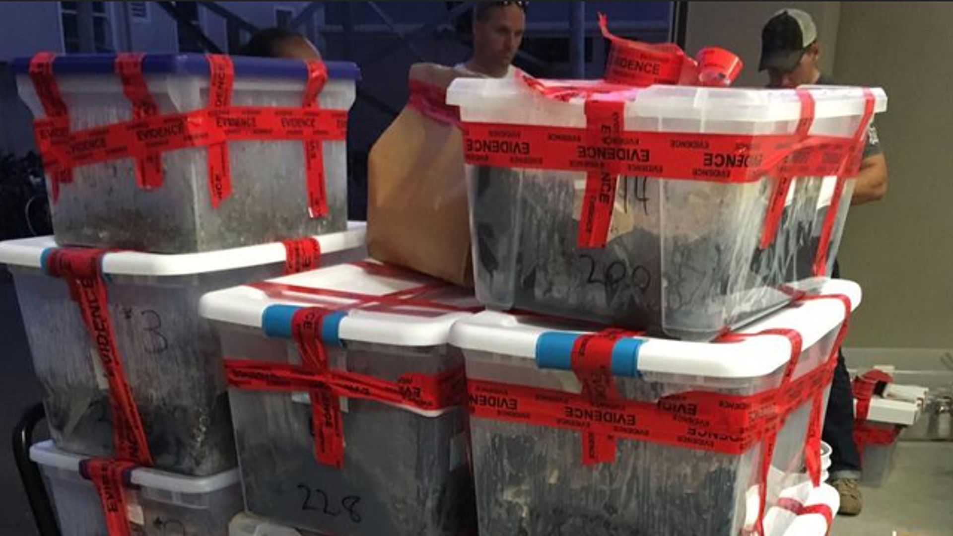 Berkeley police responding to a call about a bickering couple said Monday they found nearly 700 pounds of psilocybin &ldquo;magic&rdquo; mushrooms with a street value of $1 million in the house.