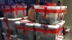 Berkeley police responding to a call about a bickering couple said Monday they found nearly 700 pounds of psilocybin “magic” mushrooms with a street value of $1 million in the house.