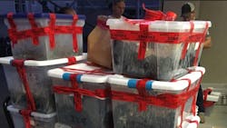 Berkeley police responding to a call about a bickering couple said Monday they found nearly 700 pounds of psilocybin “magic” mushrooms with a street value of $1 million in the house. Berkeley police responding to a call about a bickering couple said Monday they found nearly 700 pounds of psilocybin “magic” mushrooms with a street value of $1 million in the house.