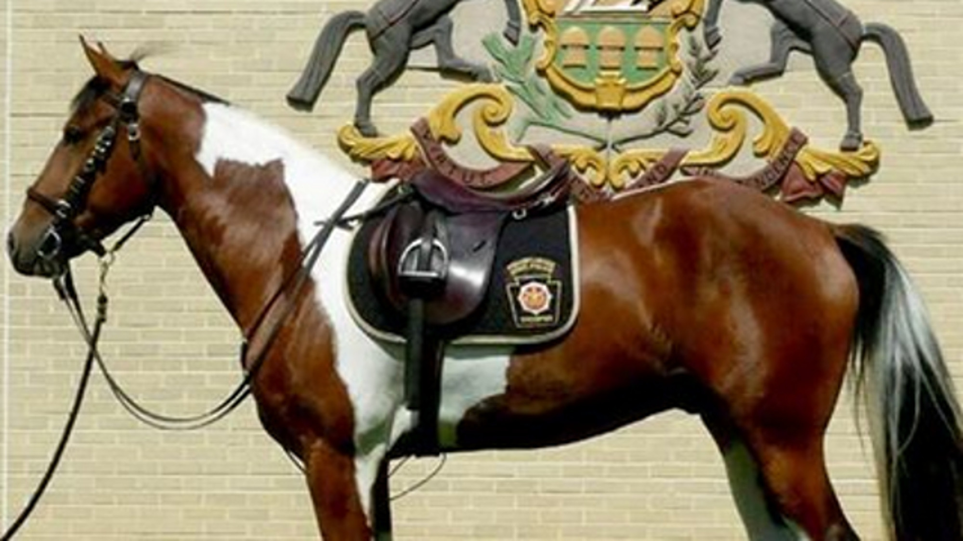 Pennsylvania State Police honored Trooper Michael P. Stewart III. who was killed in a vehicle crash this summer, by naming its newest mounted unit member after him.