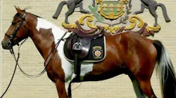 Pennsylvania State Police honored Trooper Michael P. Stewart III. who was killed in a vehicle crash this summer, by naming its newest mounted unit member after him.