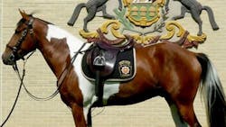 Pennsylvania State Police honored Trooper Michael P. Stewart III. who was killed in a vehicle crash this summer, by naming its newest mounted unit member after him. Pennsylvania State Police honored Trooper Michael P. Stewart III. who was killed in a vehicle crash this summer, by naming its newest mounted unit member after him.