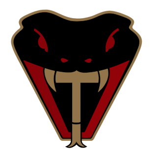 Viper Tactical Logo Clear