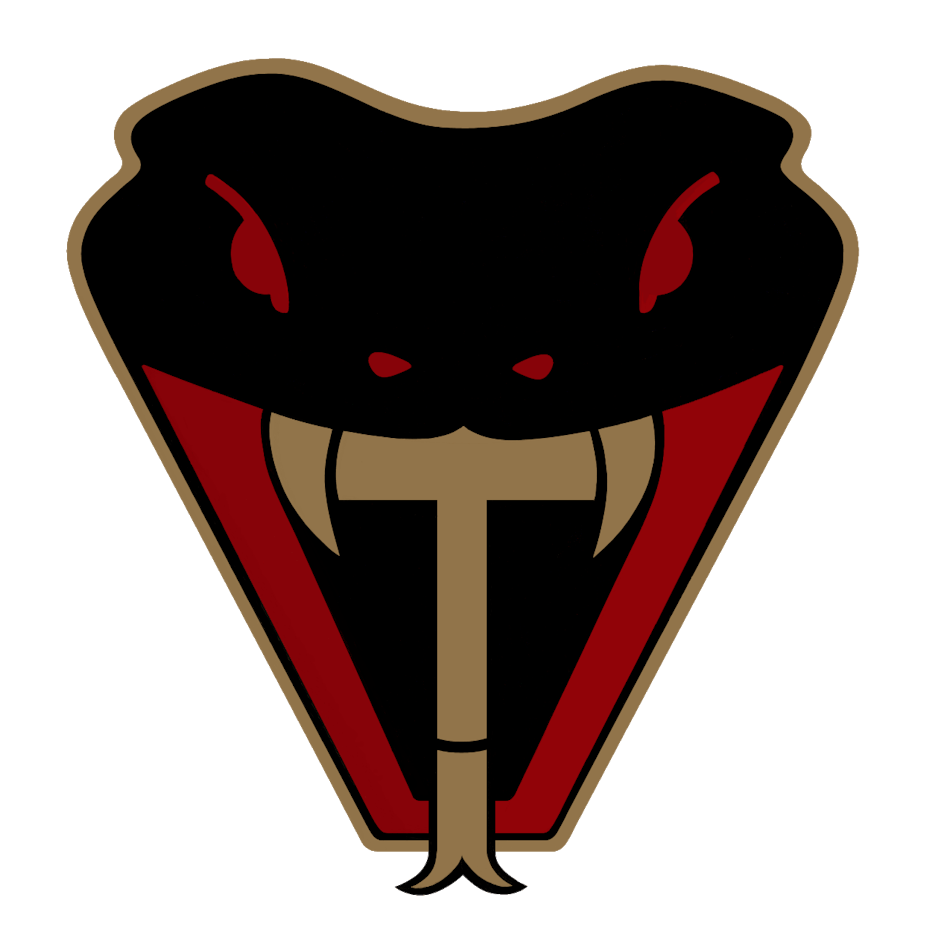 Viper Tactical Logo Clear