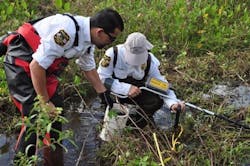 P8 X In Swamp Found Handgun P8 X In Swamp Found Handgun