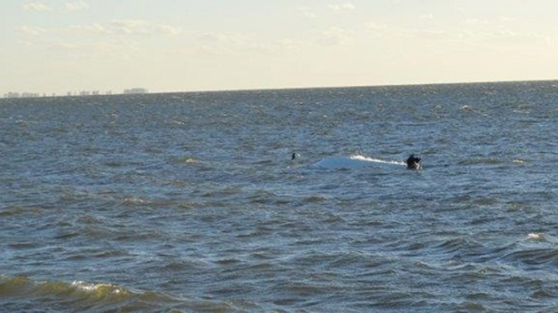 Quick thinking by a Florida Highway Patrol trooper and a quick response by a St. Petersburg man on a jet ski led to the safe rescue of three people from an overturned boat near the Sunshine Skyway bridge Sunday.