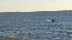 Quick thinking by a Florida Highway Patrol trooper and a quick response by a St. Petersburg man on a jet ski led to the safe rescue of three people from an overturned boat near the Sunshine Skyway bridge Sunday. Quick thinking by a Florida Highway Patrol trooper and a quick response by a St. Petersburg man on a jet ski led to the safe rescue of three people from an overturned boat near the Sunshine Skyway bridge Sunday.