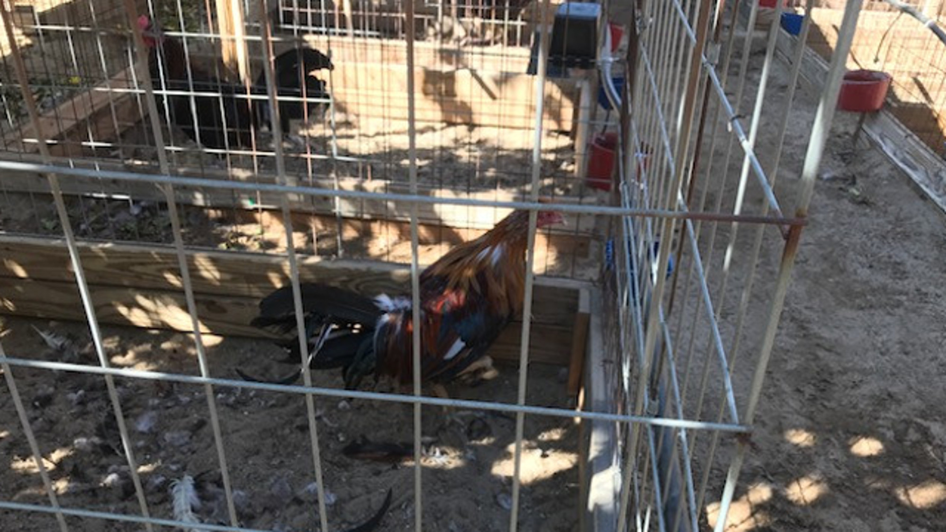 Two search warrants were served to the 8800 block of Pillsbury Avenue in Lancaster on Oct. 10, 2017.